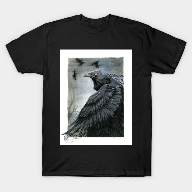 A Crow's Shadowed Wings T-Shirt by drakhenliche